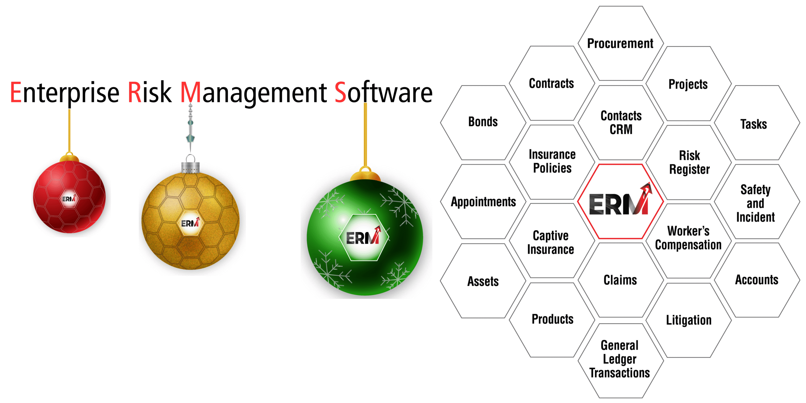Integrated Risk Management Software Christmas